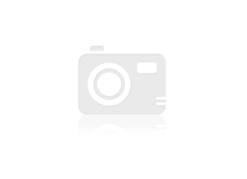 Oil Filter – V8